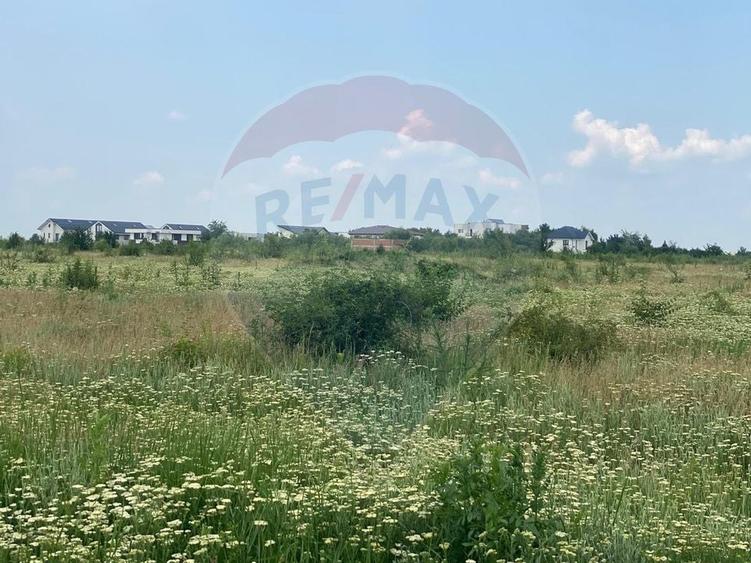 DE VANZARE Teren intravilan 600mp Drumul Piscul Mosului SISESTI - 15