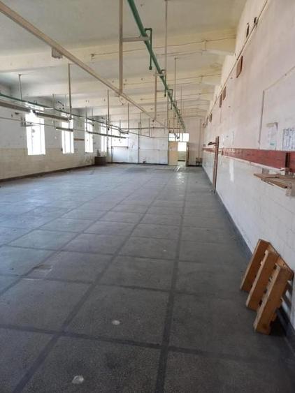Spațiu industrial, de 19,000 mp, în Exterior Sud