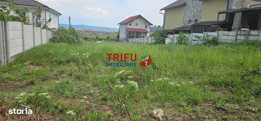Spațiu comercial, în Șard