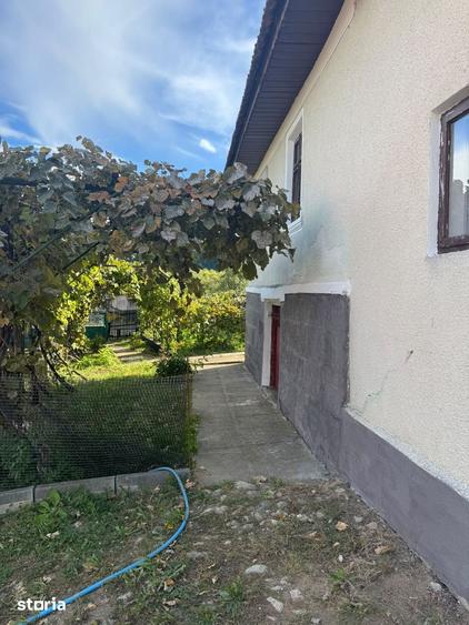 Casă cu 5 camere cu Teren 11000 Mp în Alimpești
