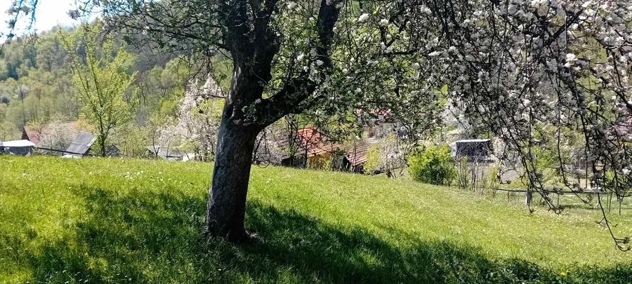 Casă cu 4 camere în Central