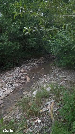 Teren de 1632 mp, în Oituz