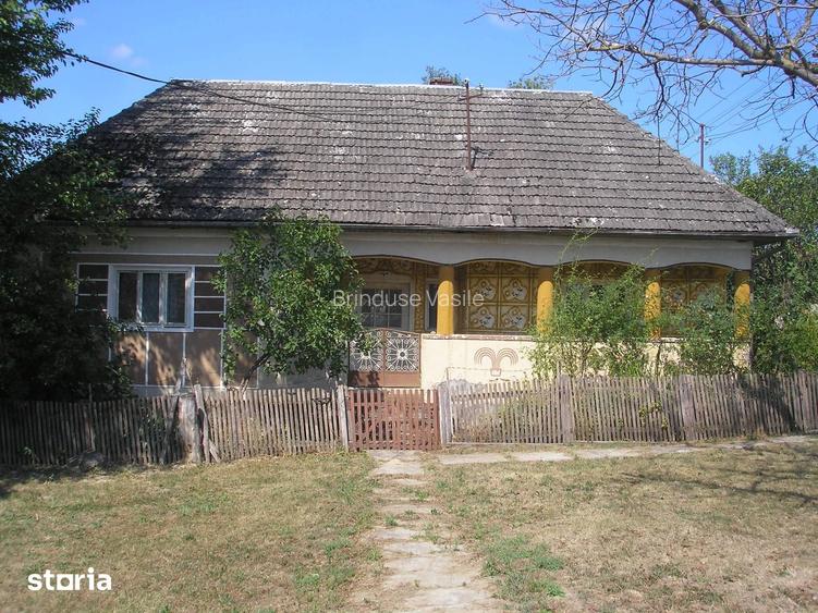 Zona Codrului, la numai 43 Km de Municipiul Baia Mare !