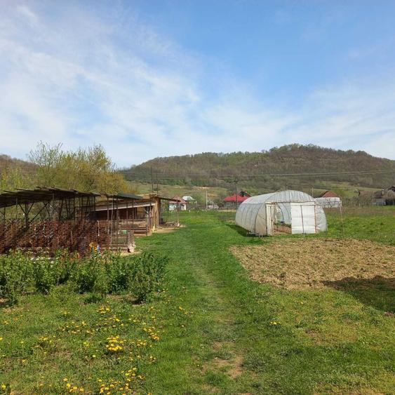 Casă cu 2 camere în Lozna