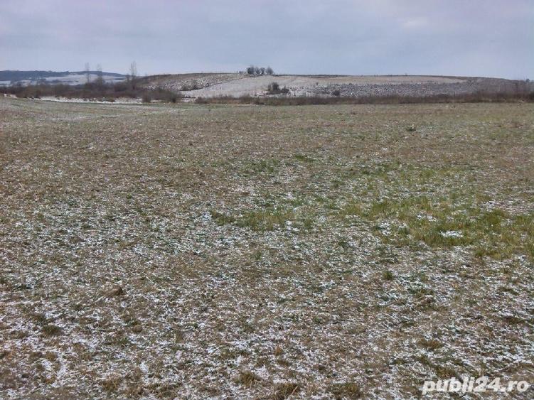 Teren de 5450 mp, în Vânători