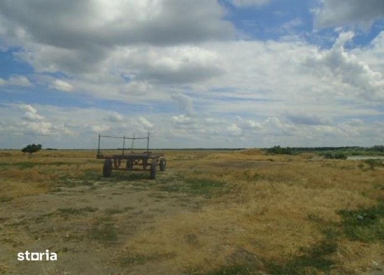 Teren de 7500 mp, în Vrancea