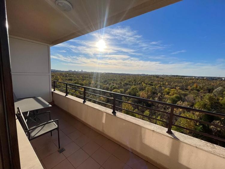 Apartament cu 2 camere, mobilat în Iancu Nicolae