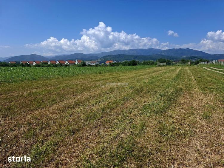 Teren de 500 mp, în Central
