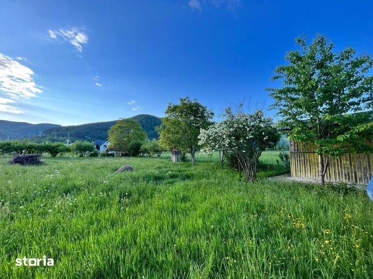 Teren de 1780 mp, în Pângărați