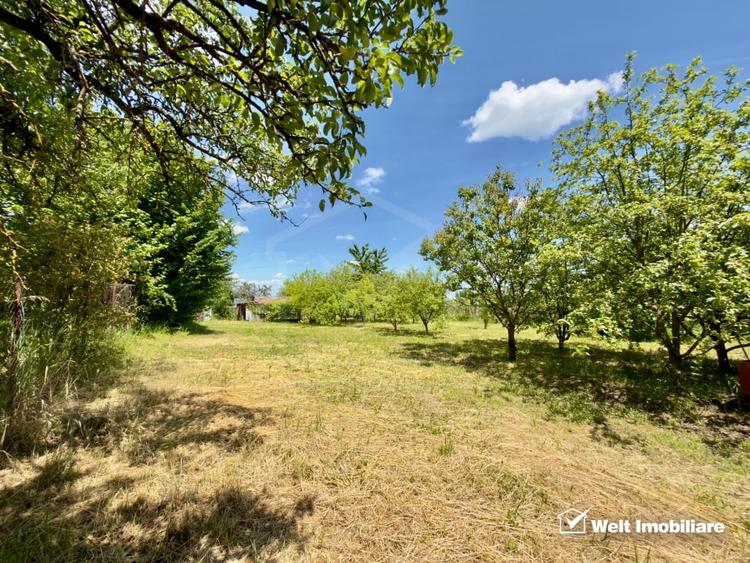 Teren agricol intravilan de 1051 mp, în Borhanci