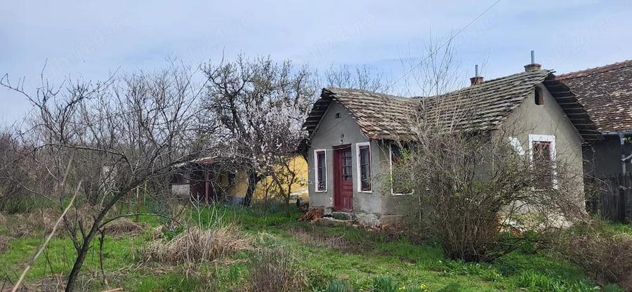 Casă cu Teren 2000 Mp în Plenița
