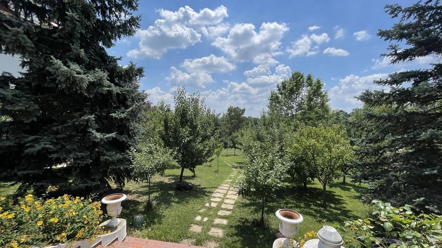 Casă individuală cu 10 camere cu Piscina în Balotești