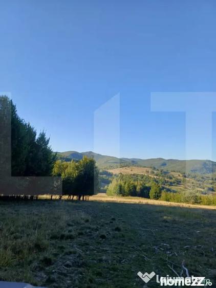 Teren de 11600 mp, în Central
