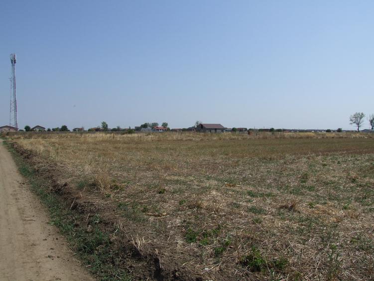 Teren intravilan de 9817 mp, în Domnești