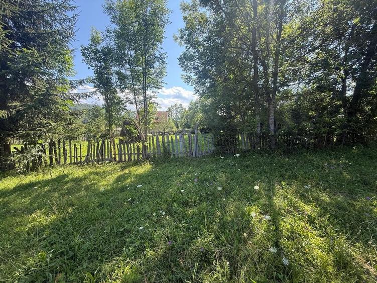 Teren Construcții intravilan de 1662 mp, în Trăisteni