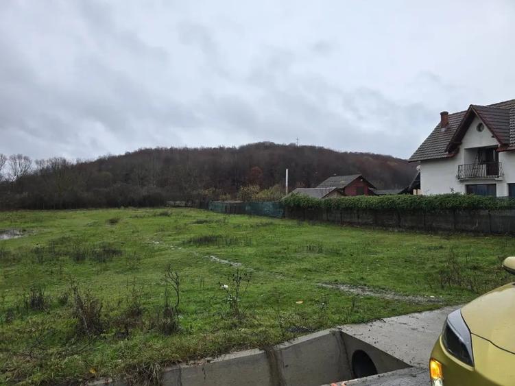Teren de 2800 mp, în Borlești