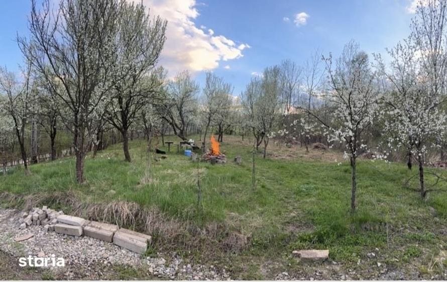 Teren de 1500 mp, în Berislăvești