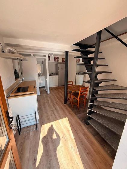 Apartament cu 2 camere semidecomandat în Timpuri Noi