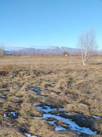 Teren de 5600 mp, în Central