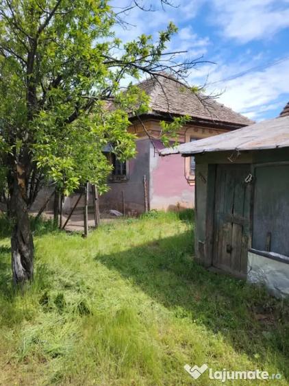 Casă cu 3 camere cu Teren 2800 Mp în Caraula