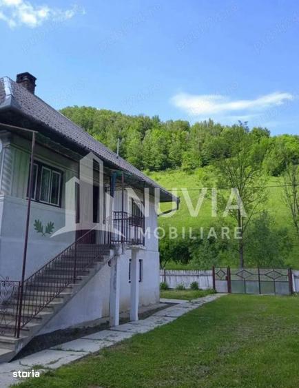 Casa individuala cu 4 camere,140 mp utili,1800 mp teren,Intregalde - 1
