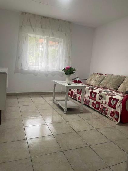 Casa de vanzare Calinesti Arges - 7