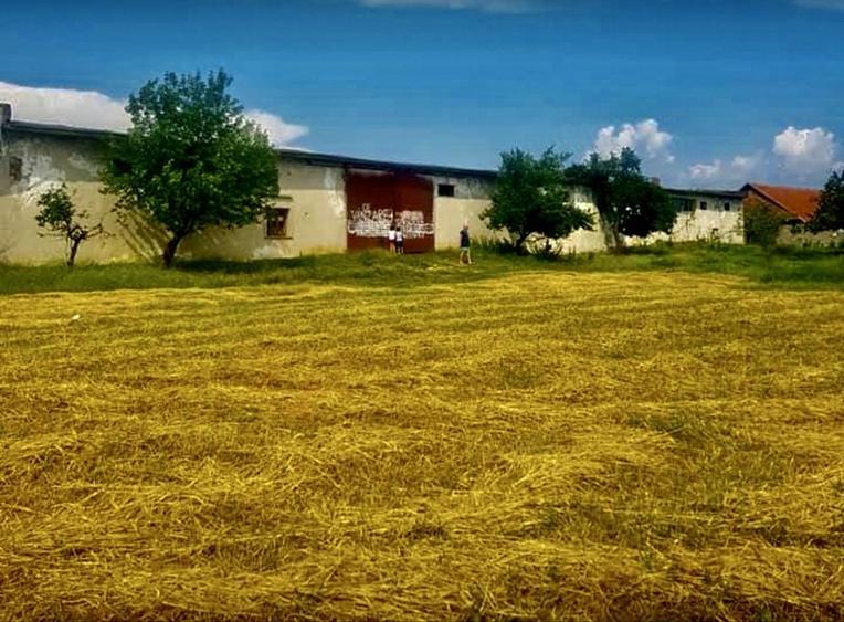 Spațiu comercial, în Punghina
