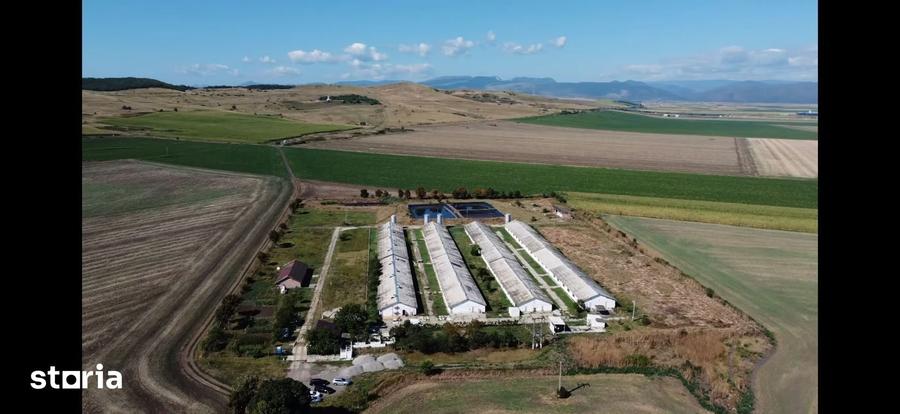 Teren 43884 mp intravilan, 4 hale 6000 mp, nod autostrada, Bogata - 2