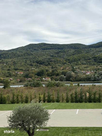 Teren de 13000 mp, în Bujoreni