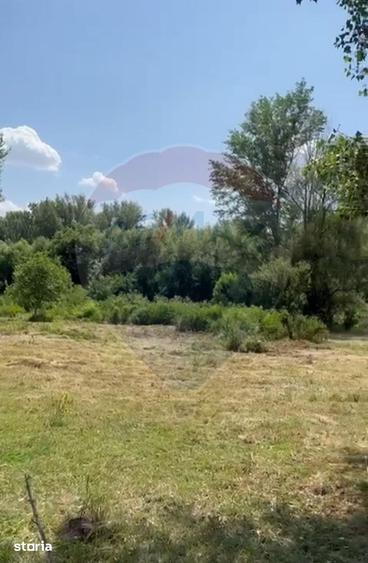Teren de 5000 mp, în Găneasa