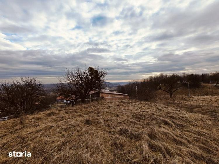 Teren de 770 mp, în Chinteni