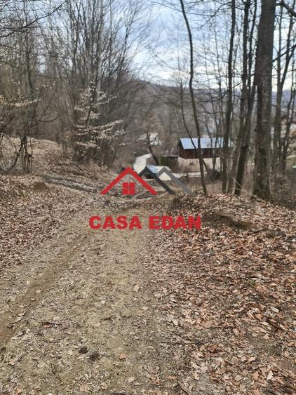 Teren de 3448 mp, în Provița de Jos