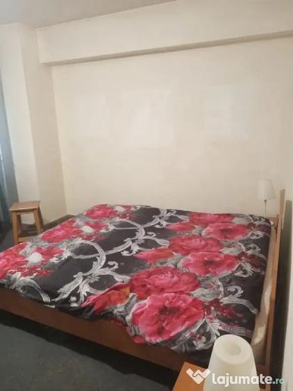 Timpuri noi parter spatioasa - Bucuresti (Bucuresti-Ilfov) - 5
