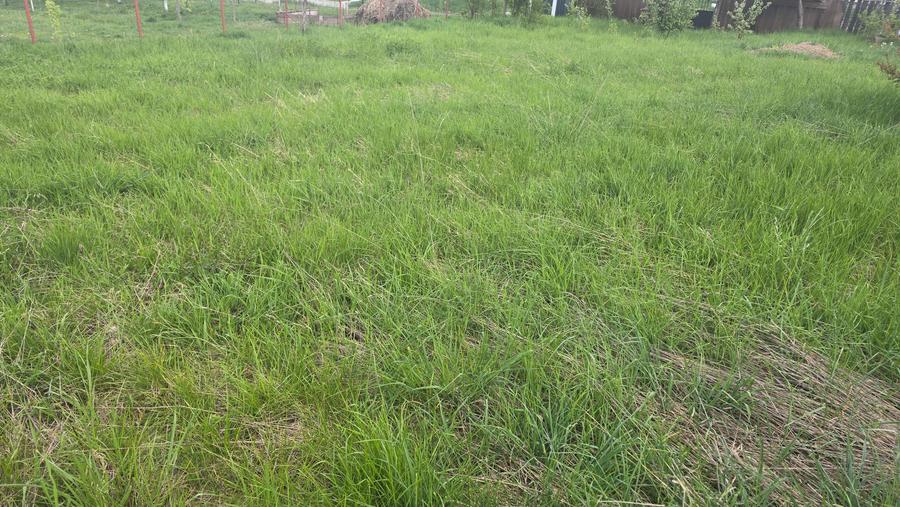 Teren Construcții intravilan de 400 mp, în Zăvoi