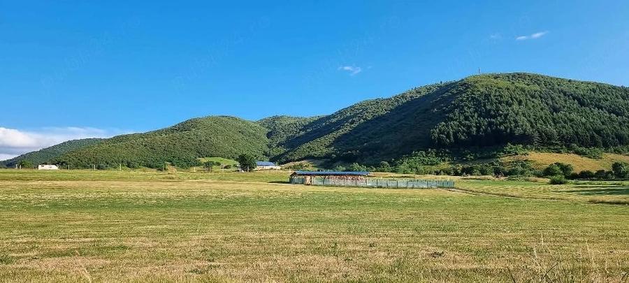 Teren de 5000 mp, în Gura Râului
