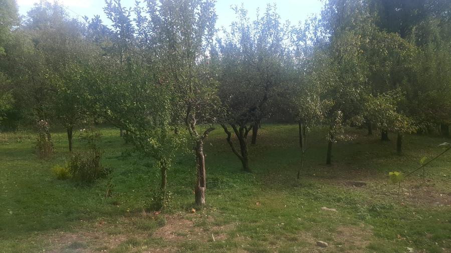 Casă cu 3 camere cu Teren 12000 Mp în Valea Anei