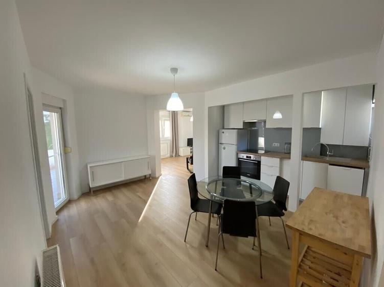 Apartament 2 camere, cu terasa, Calea Plevnei, Cismigiu - 4
