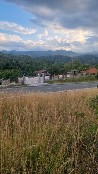 Teren de 1250 mp, în Merișor (Bănița)