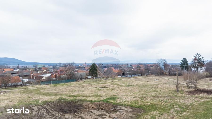 Teren de 9979 mp, în Crizbav