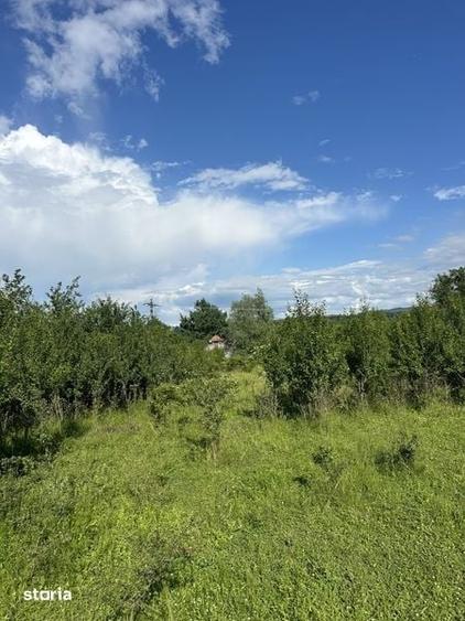 Teren de 3600 mp, în Cașin