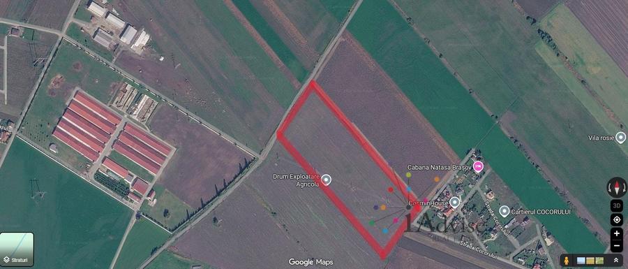 Teren agricol extravilan de 50000 mp, în Hălchiu