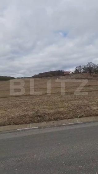 Teren Construcții extravilan de 7500 mp, în Baciu
