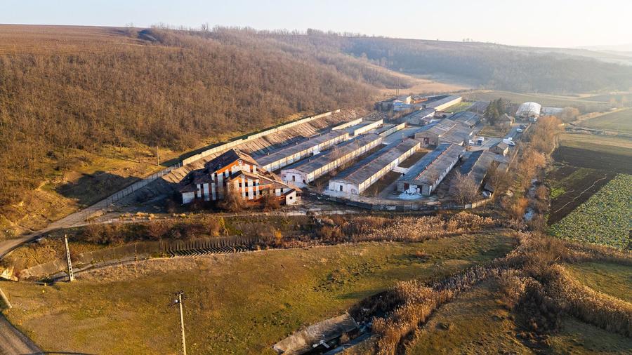 Spațiu industrial, de 50,000 mp, în Horgești