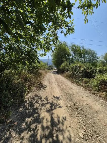 Teren de 3863 mp, în Vad