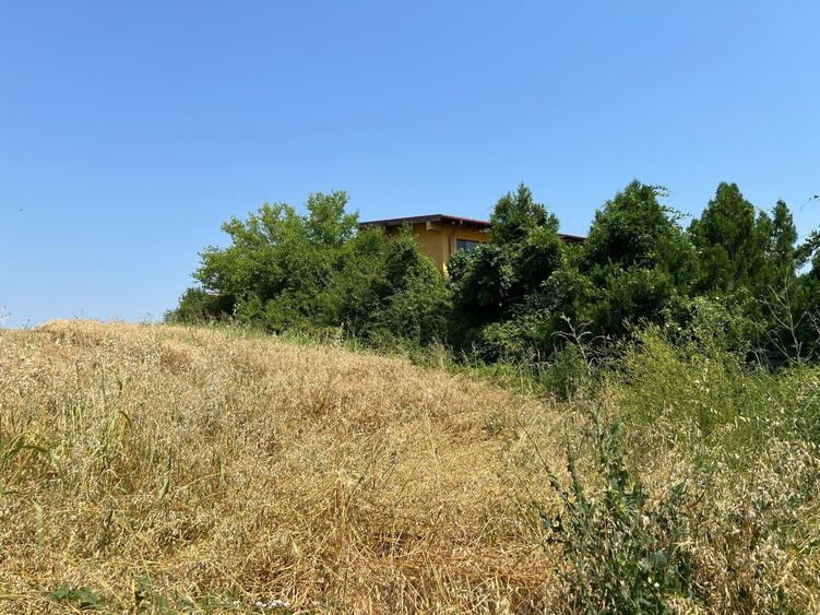 Teren Construcții intravilan de 4000 mp, în Ciolpani