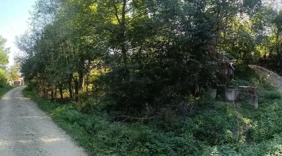 Casă cu 3 camere cu Teren 2681 Mp în Frumușelu