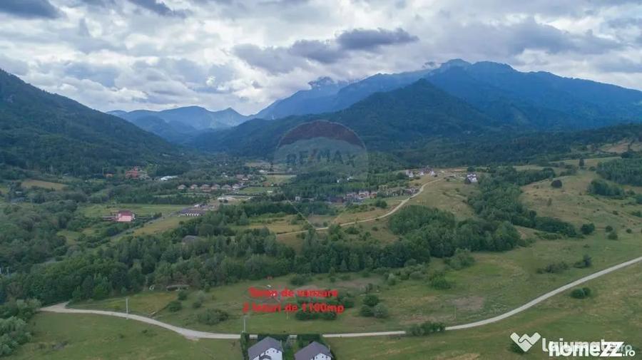 Teren extravilan Rasnov , Glajerie-Str Poiana velicanului... - 7