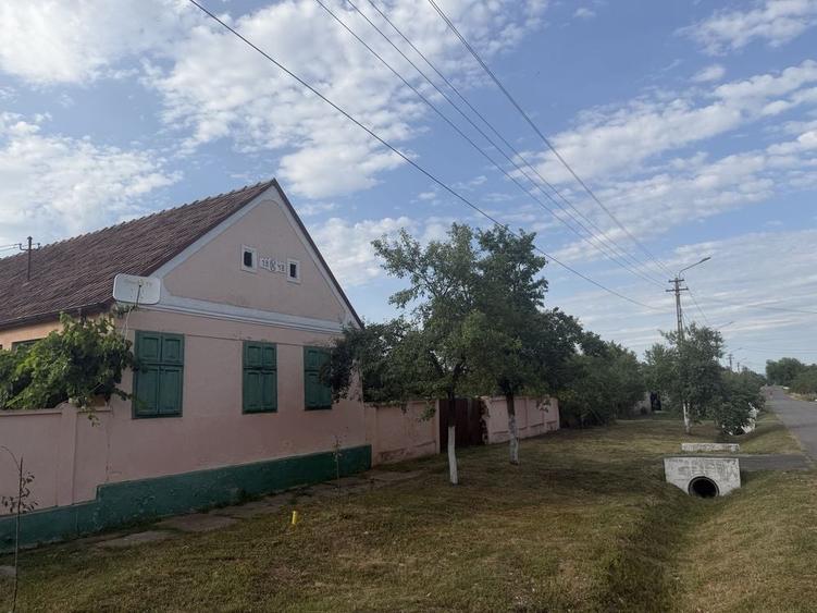 Casă cu 4 camere în Alioș