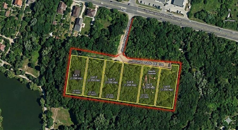 Vand 7500mp padure langa Iancu Nicolae. Ideala pentru investi?ie compensare silvica - 1