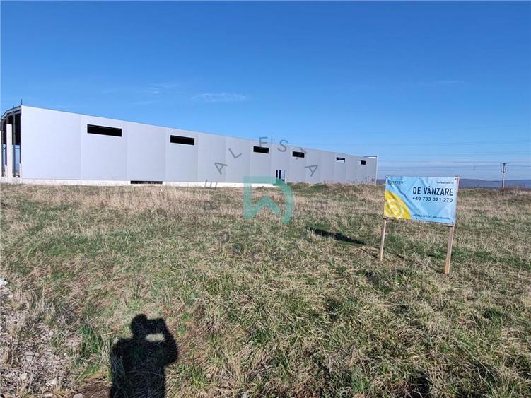 Teren Construcții intravilan de 7700 mp, în Prejmer
